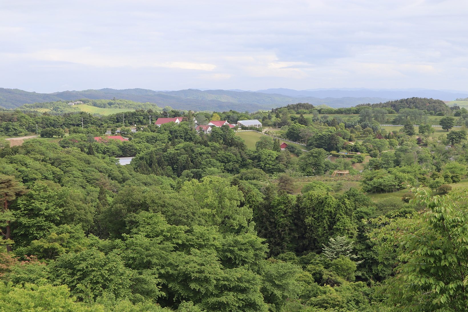 株式会社アーク