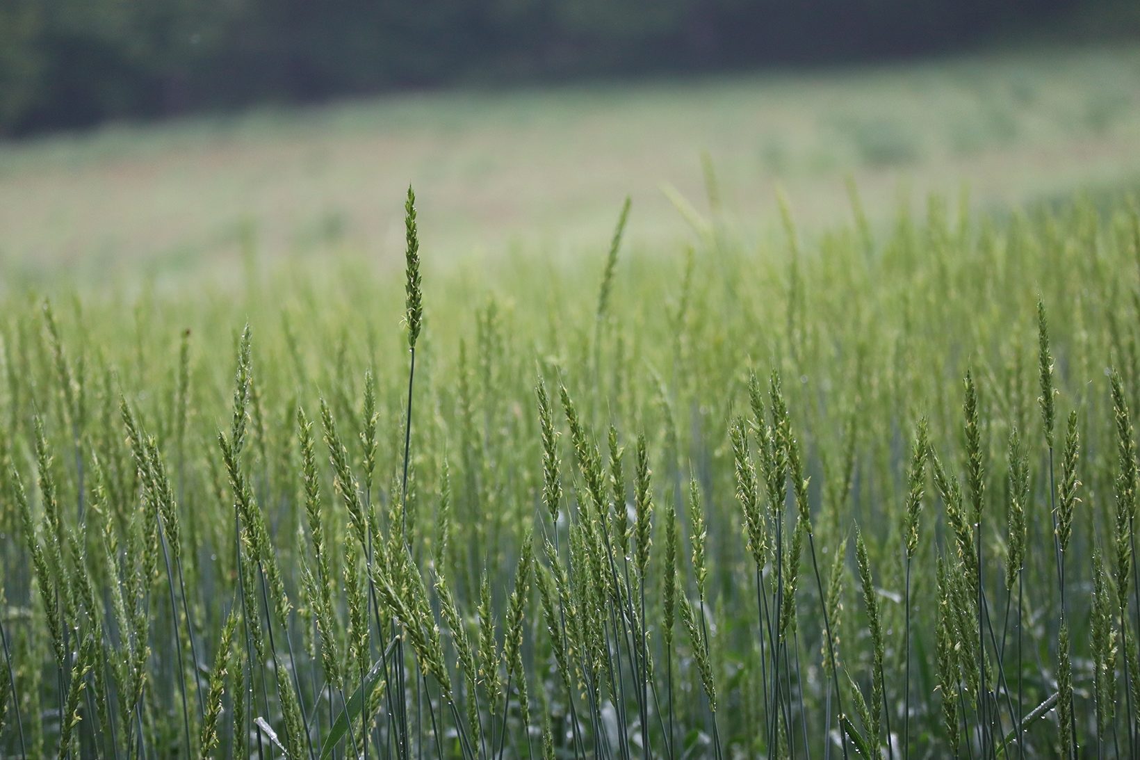 株式会社アーク